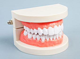 Dentures Close-up